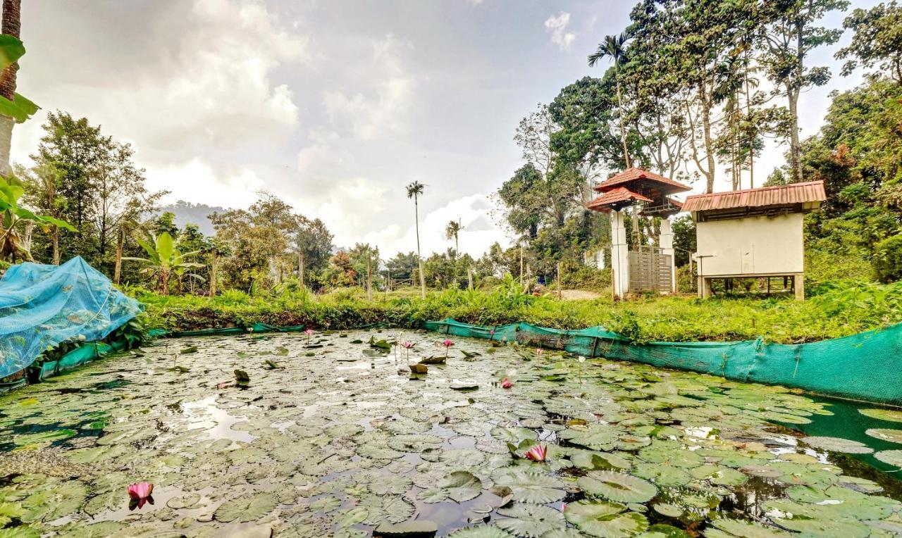 Treebo Tryst Jathika Resorts コージコード エクステリア 写真