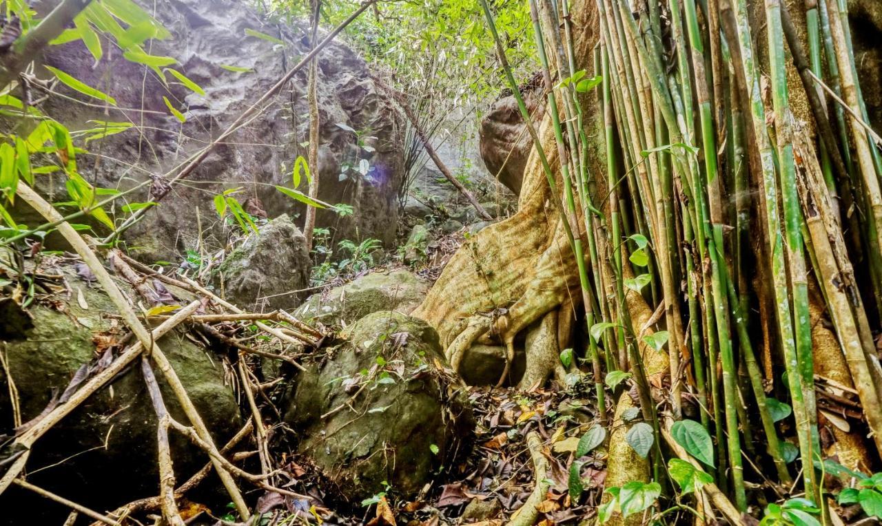 Treebo Tryst Jathika Resorts コージコード エクステリア 写真
