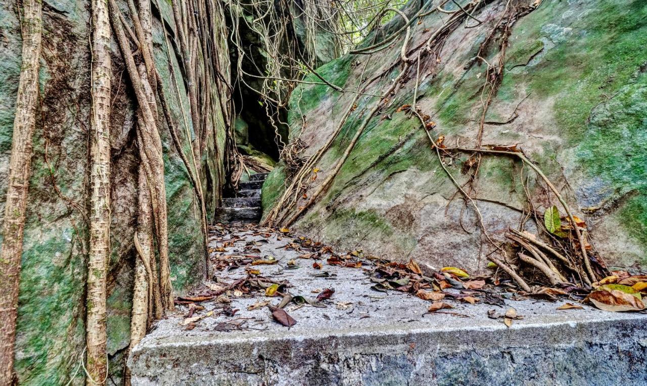 Treebo Tryst Jathika Resorts コージコード エクステリア 写真