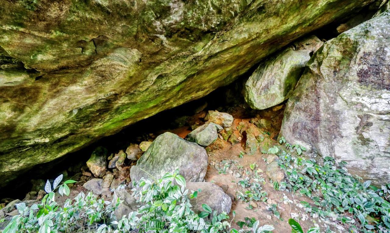 Treebo Tryst Jathika Resorts コージコード エクステリア 写真