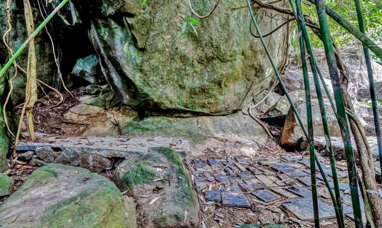 Treebo Tryst Jathika Resorts コージコード エクステリア 写真