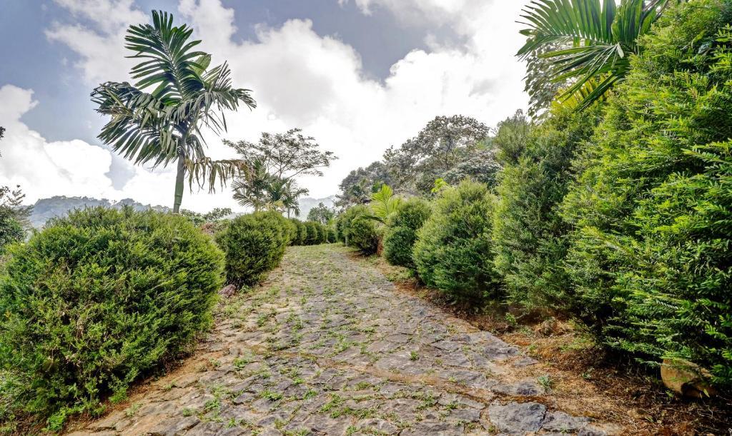 Treebo Tryst Jathika Resorts コージコード エクステリア 写真