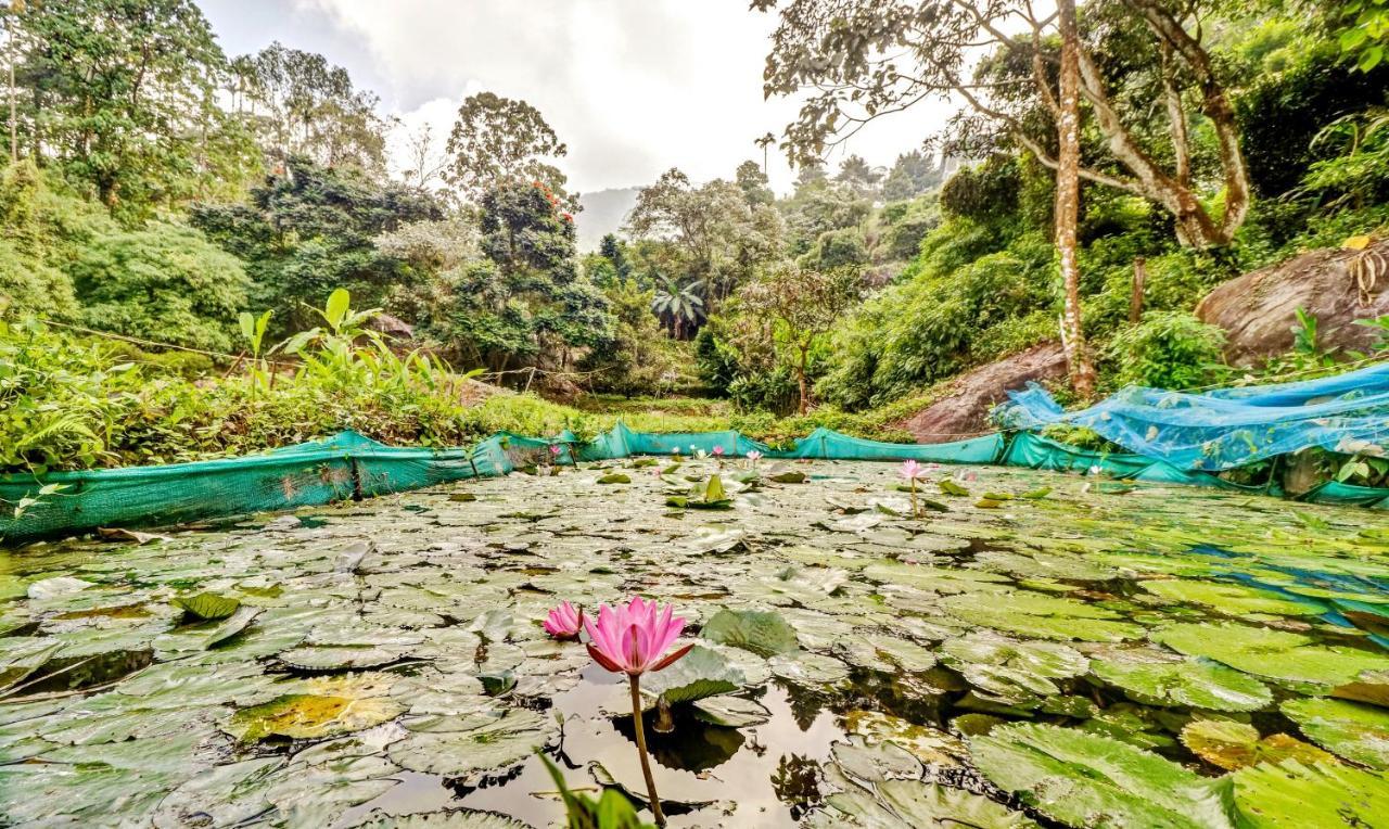 Treebo Tryst Jathika Resorts コージコード エクステリア 写真