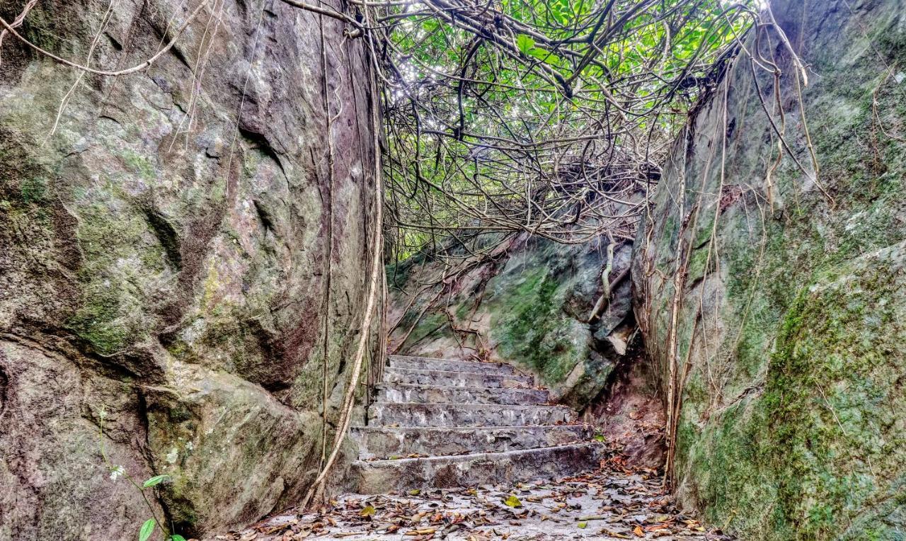 Treebo Tryst Jathika Resorts コージコード エクステリア 写真